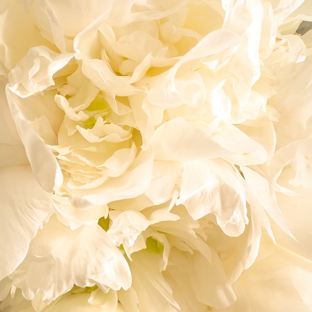 Bracelet info 2 of 2